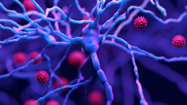 Covid-19 beyinde kalıcı etki bırakıyor mu?