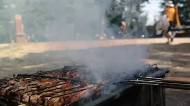 Ankara'da mangal ve piknik ateşi yakmak yasaklandı