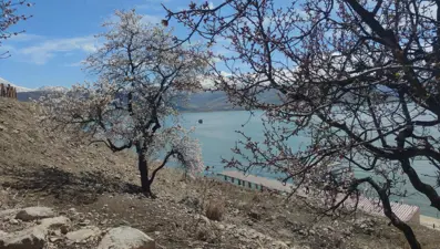 Van'ın gözde turistik mekanı: Her baharda ziyaretçi akınına uğruyor