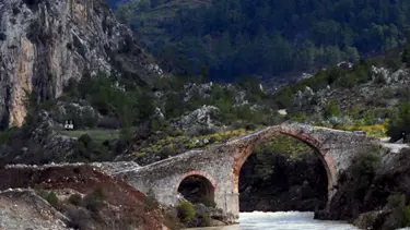 2B'de rayiç bedel için yardım talebi