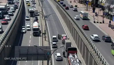 D-100'de kedi seferberliği: Trafik bir süre durdu