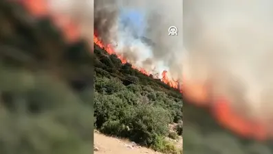 Antalya'da makilik alanda yangın