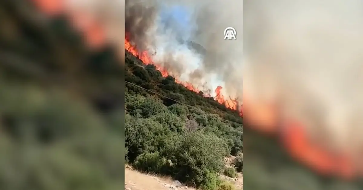 Antalya'da makilik alanda yangın