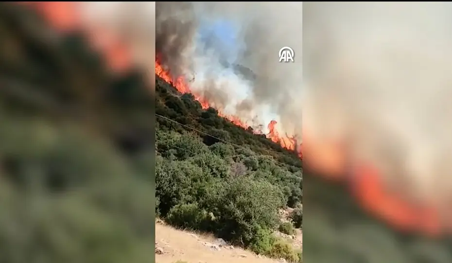 Antalya'da makilik alanda yangın