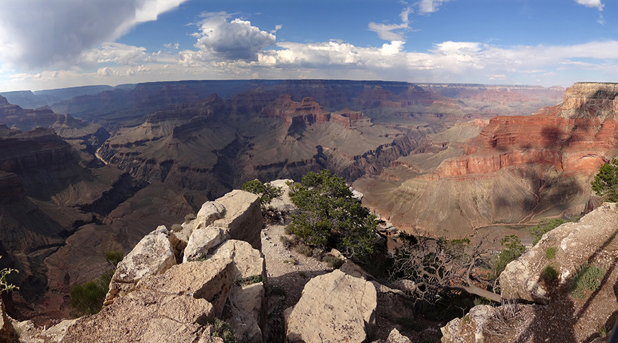 ABD'de Koch Kardeşler'in Grand Canyon oyunu