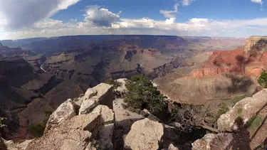ABD'de Koch Kardeşler'in Grand Canyon oyunu