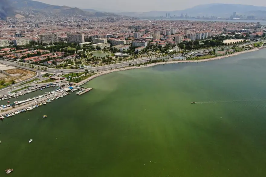 İzmir’de plankton patlaması: İki ilçede denizin rengideğişti 4