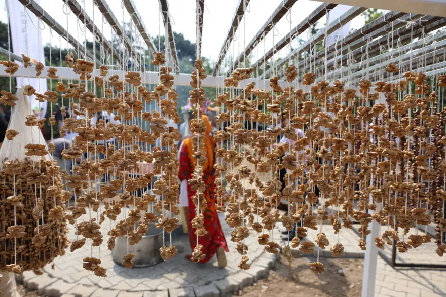 GastroAntep Festivali, fıstık hasadı ve şire yapımı ile başladı 7