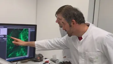 Türk doktor, insan organlarının üç boyutlu haritasını çıkardı