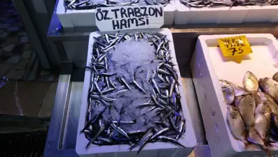 Erken gelen hamsi,  erken terk edecek endişesi:  Balıkçılar umduğunu bulamadı