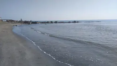 Doğal kirliliğin yaşandığı Karataş sahili temizlendi: Akyatan Lagünü açıldı