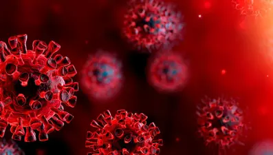 Çin'de iki yeni virüs keşfedildi: İnsana bulaşabilir, aşısı yok