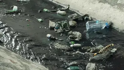 İstanbul'un suyunu tehdit eden büyük tehlike: Su içip ölen hayvanlar var