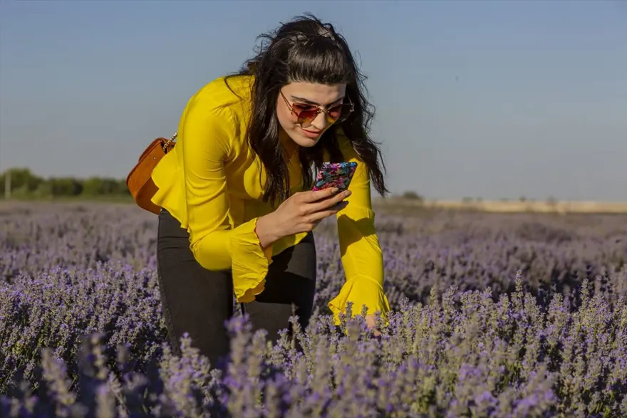 Diyarbakır'ın yeni cazibe merkezi: Lavanta bahçeleri 5
