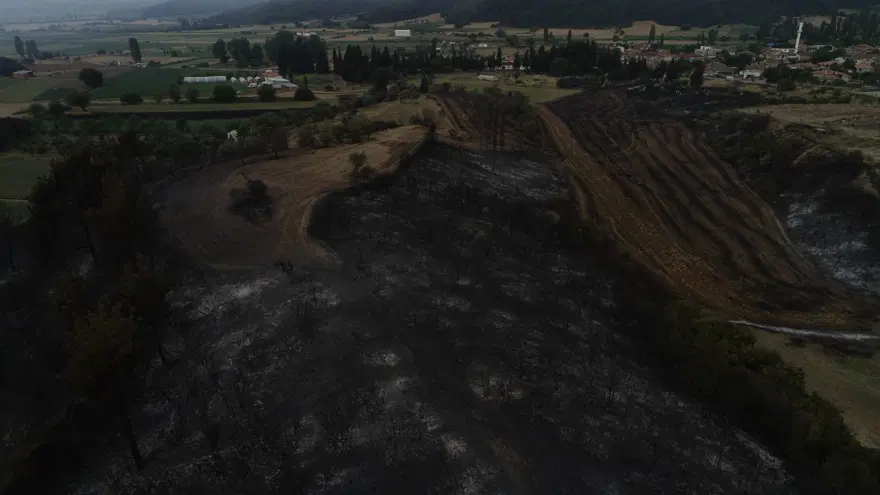 Çanakkale'de yangının boyutu gün ağarınca ortaya çıktı 3 Çanakkale'de yangının boyutu gün ağarınca ortaya çıktı 3
