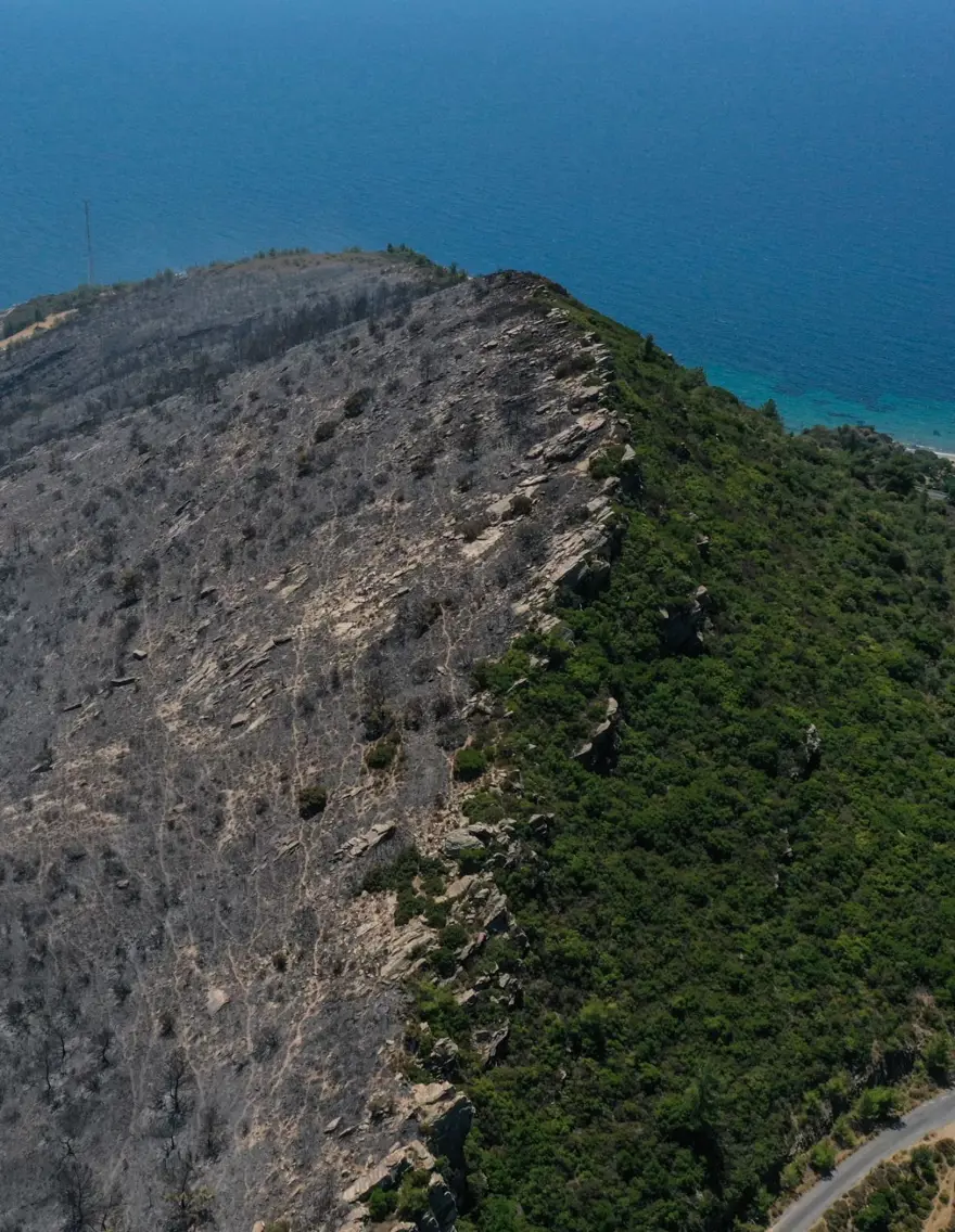 Menderes'teki orman yangınından geriye kalanlar 1