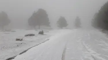 Bolu'nun yüksek kesimlerinde kar kalınlığı 5 santimetreye ulaştı