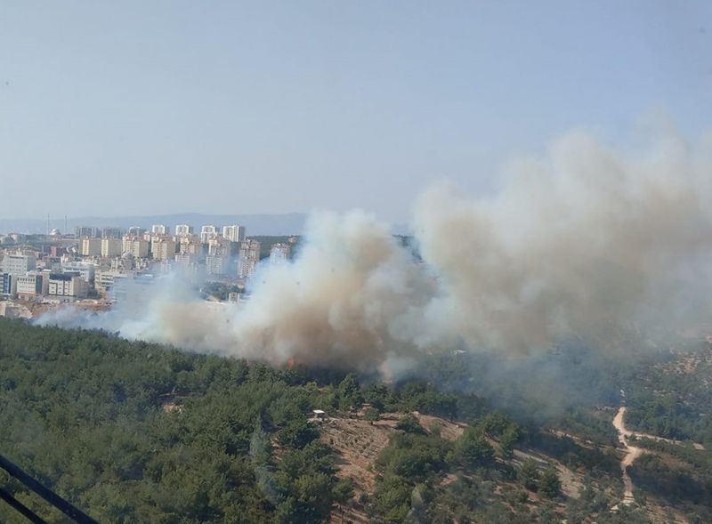Ege’de tehlike çanları: Ortalama sıcaklık 2 derece daha yükselecek,orman yangınları artacak