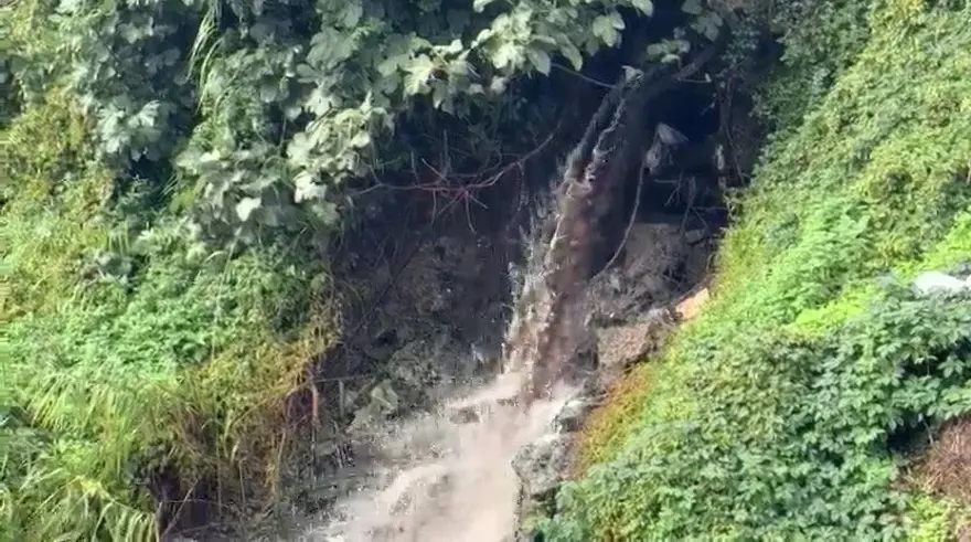 Kötü koku ve renk değişimi endişe yarattı: Gemlik Körfezi’ne kadar ulaşıyor 2 Kötü koku ve renk değişimi endişe yarattı: Gemlik Körfezi’ne kadar ulaşıyor 2