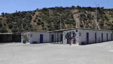 Sokak hayvanları için 244 bin metrekarelik yaşam alanı