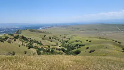 Vahşi doğada üç yıldır kayıplar! Baba ve çocuklarını arama çalışmaları genişliyor