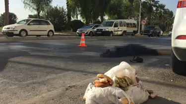 Kuşlara yem vermeye giderken kamyonet çarptı