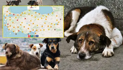 'Havrita'ya bu kez 'ekstra tehlike'den erişim engeli