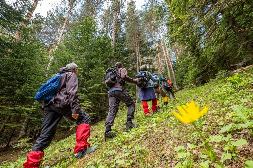 Sivas'ın yaylaları Karadeniz'i aratmıyor 2