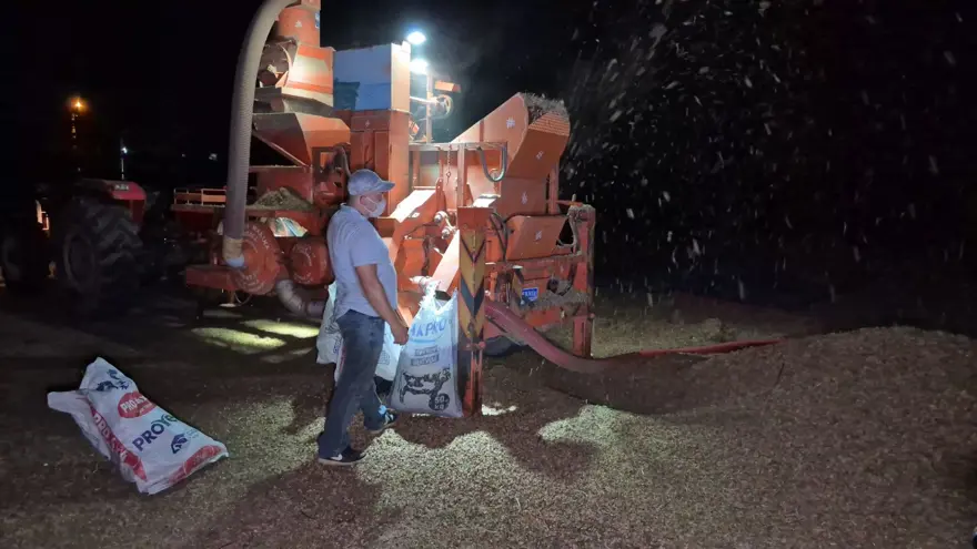 Bölgenin en önemli geçim kaynağı: Hasat bitti, nöbet başladı Bölgenin en önemli geçim kaynağı: Hasat bitti, nöbet başladı