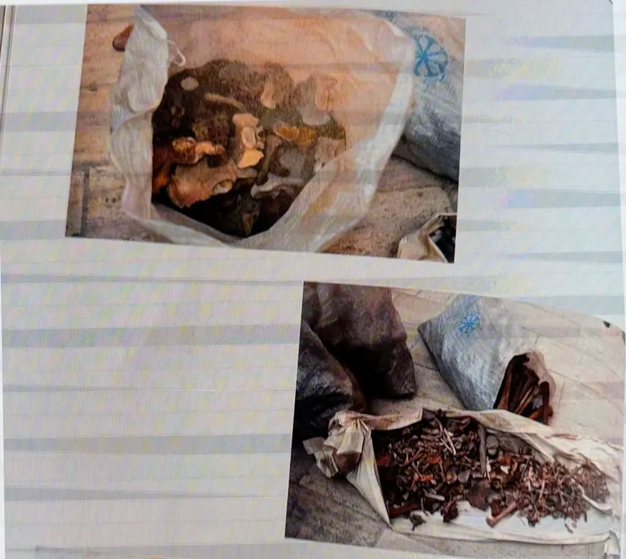 Selçuklu sultanlarının DNA analizi yapıldı: Hastalıkları ve ölüm nedenleri belirlendi 1