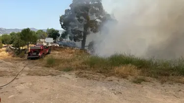 Muğla'da orman yangını