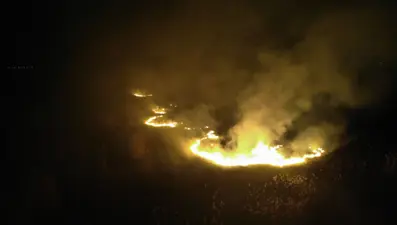 Eber Gölündeki yangında yaklaşık 600 dönüm kamışlık arazi zarar gördü