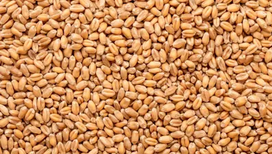 Ömrü uzatan 3 güçlü besin: Yaşlanma karşıtı ve uzun yaşam sırrı