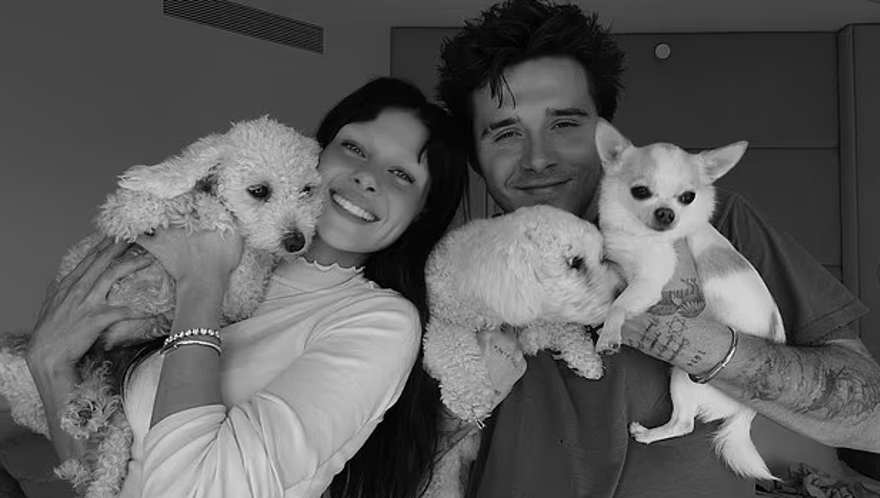 Köpeklerini boyatan Beckham çifti tepki çekti 4 Köpeklerini boyatan Beckham çifti tepki çekti 4