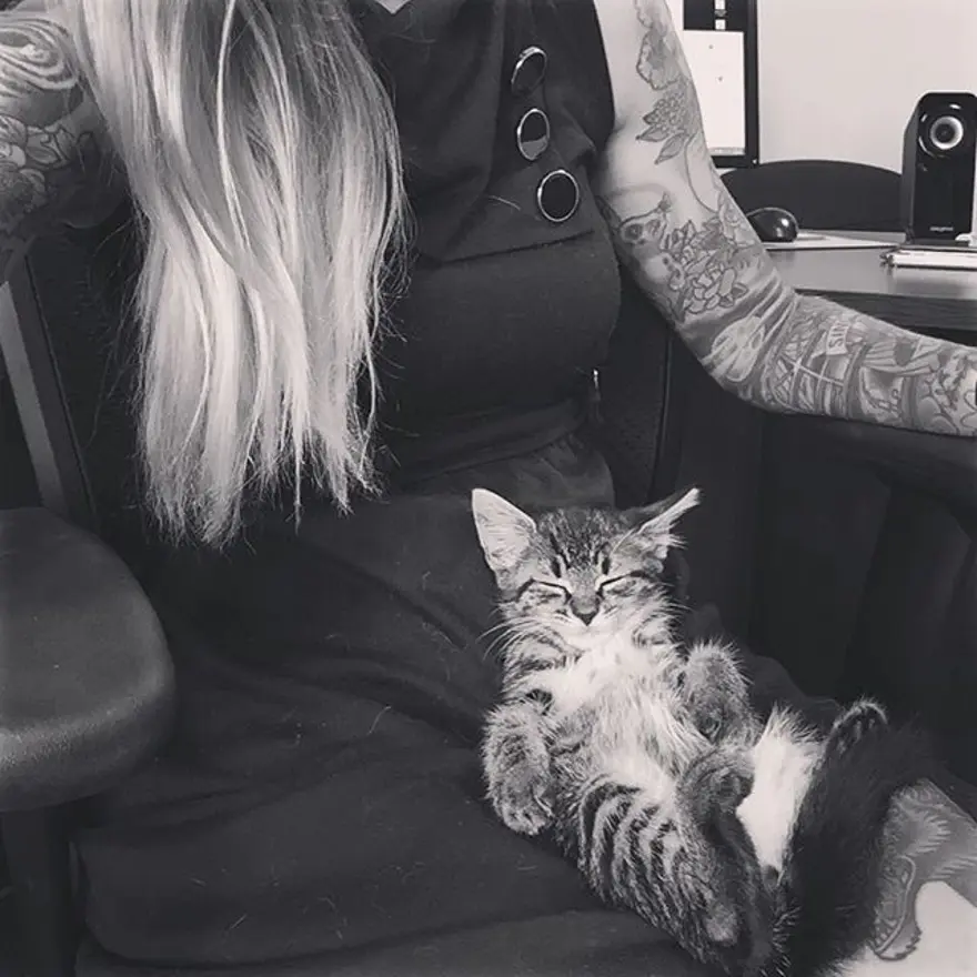 Hayatını kedileri kurtarmaya adadı 248