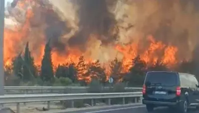 Yangınlarla mücadele için "Risk Yönetim Ekibi" oluşturuldu