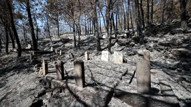 Yangında mezarlar da kül oldu