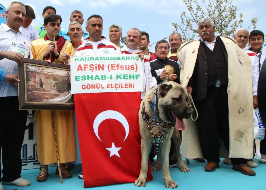 1. Uluslararası Erzurum Yarı Maratonu koşuldu 18 1. Uluslararası Erzurum Yarı Maratonu koşuldu 18
