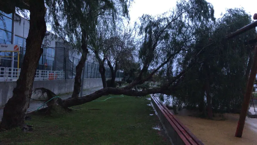 İzmir'de fırtına: Deniz taştı, işyerlerini su bastı 39