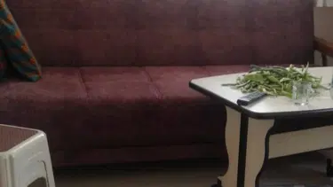 Karabük'te yolunu şaşıran tilki eve girdi