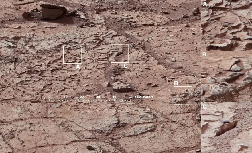 Mars için gözler Trump'ta 5