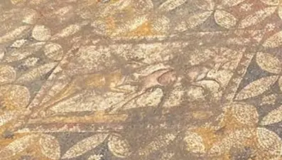 Evin altından tarih çıktı