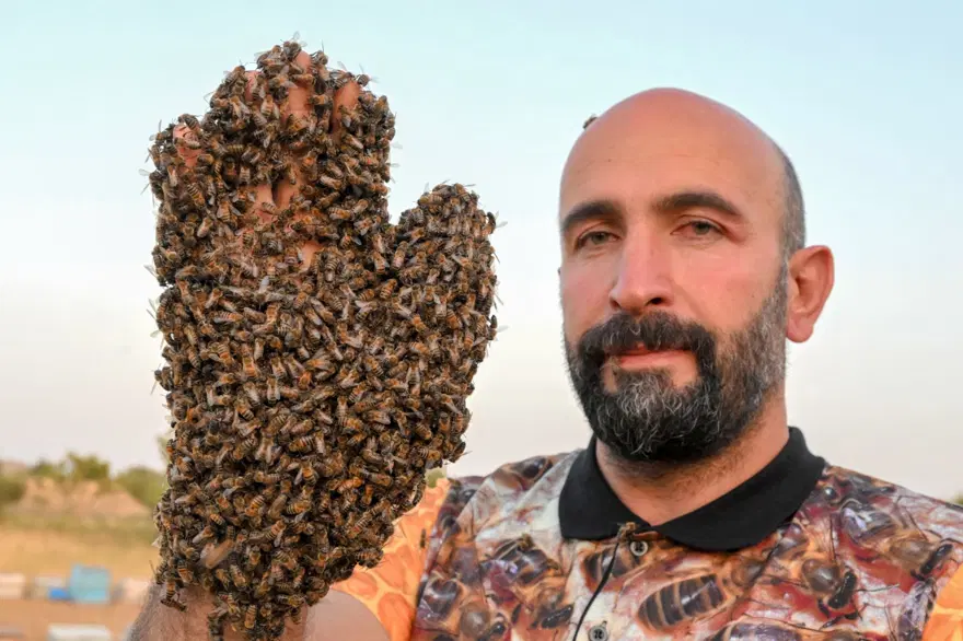 "Arı Adam"ın Guinness Rekorlar Kitabı hayaline ramak kaldı 2