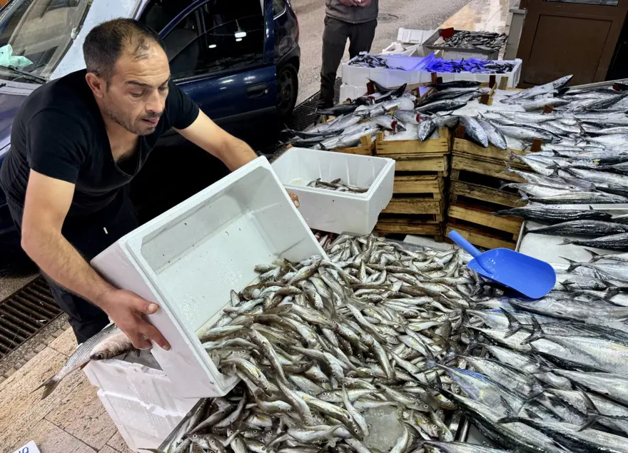 Tezgahlarda bolluk yaşanıyor! Kilosu 100 liradan başlıyor 1