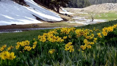 Cemre toprağa ne zaman düşer? İkinci ve üçüncü cemre düşme tarihleri