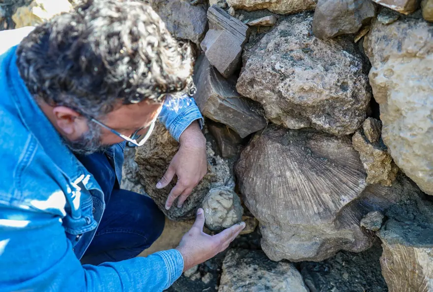 50 YIL ÖNCESİNE AİT OLDUĞU DÜŞÜNÜLÜYOR 4