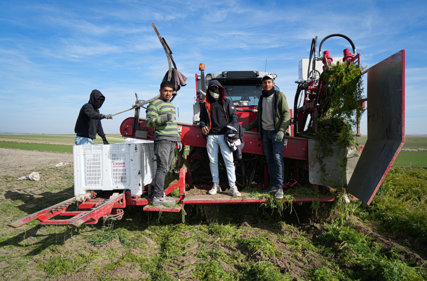 "DÖNÜM BAŞI 10 TON VERİM BEKLİYORUZ" 1