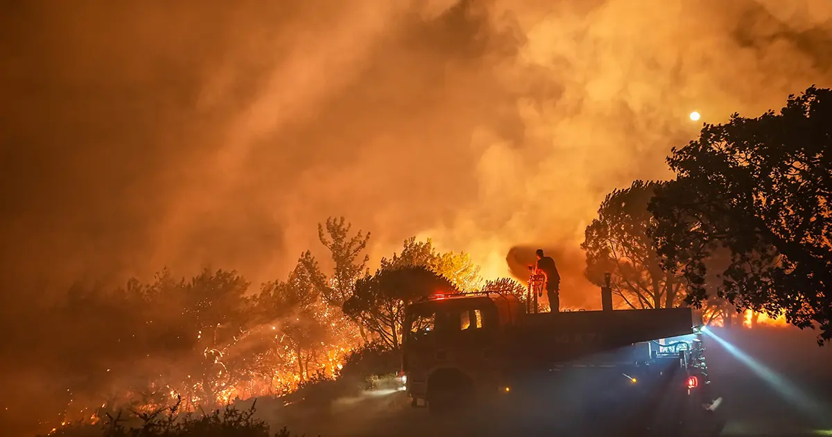 Gömeç yangının nedeni belli oldu. İki şüpheli tutuklandı