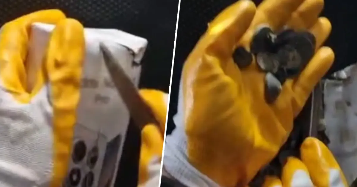 Gümrükte operasyon. Türkiye'den kaçırılmak üzereyken yakalandı