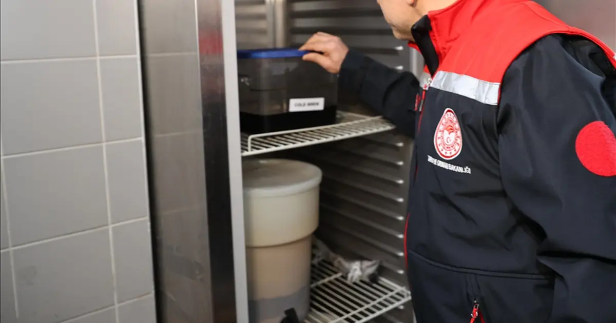 İstanbul'da gıda güvenliğine yeni önlemler. Seyyara izin belgesi, işletmelere kamera şartı